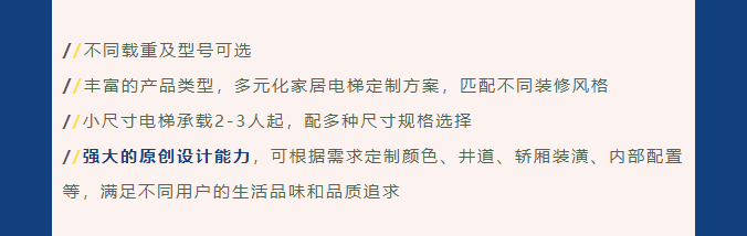 法立奥电梯定制