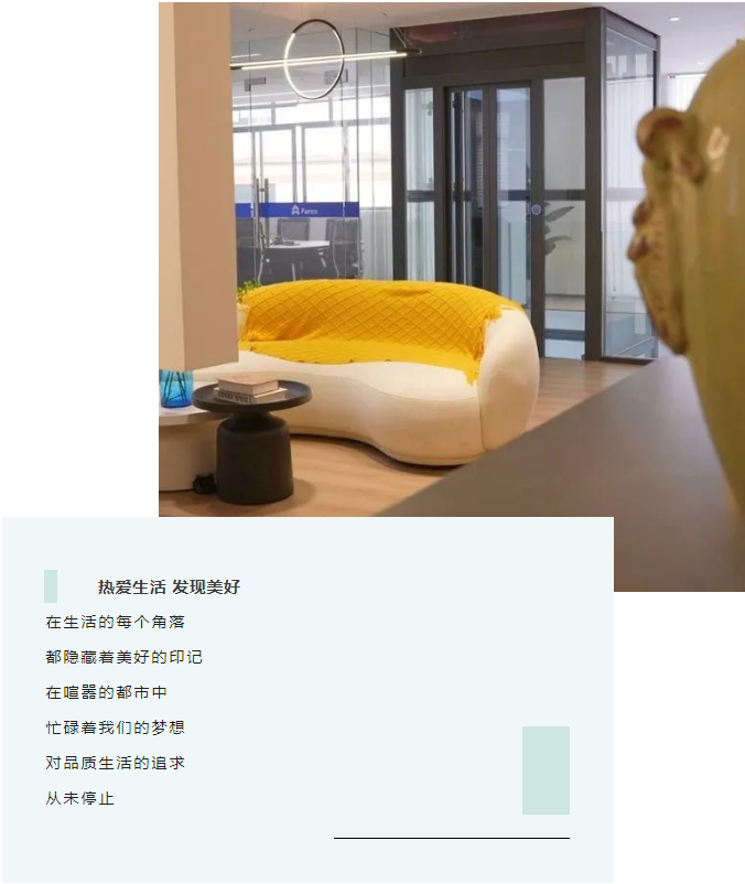 法立奥电梯