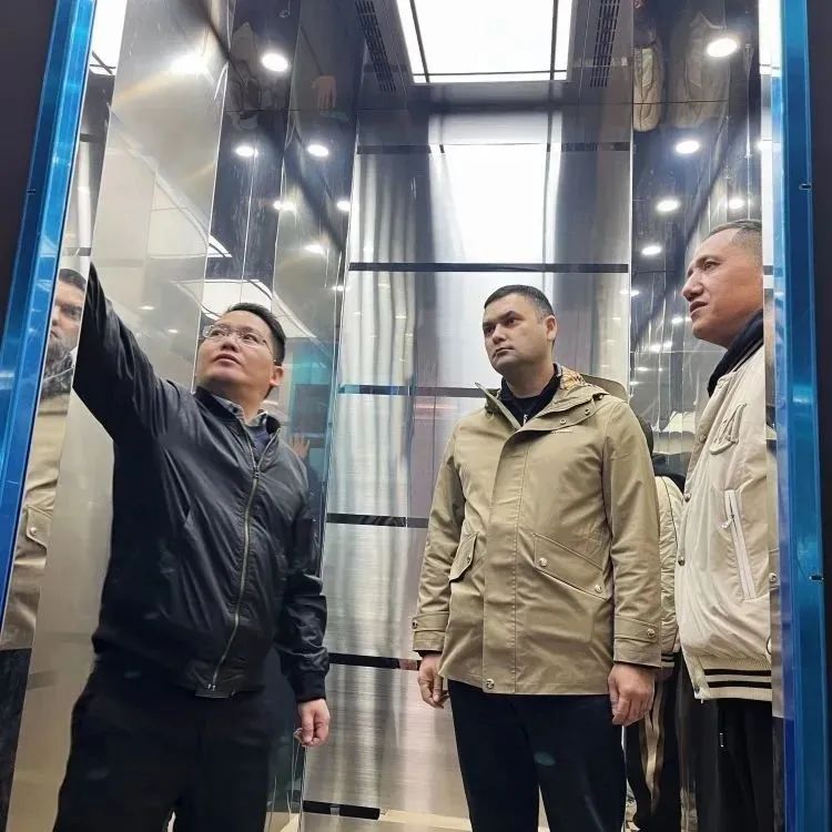 法立奥国外客户