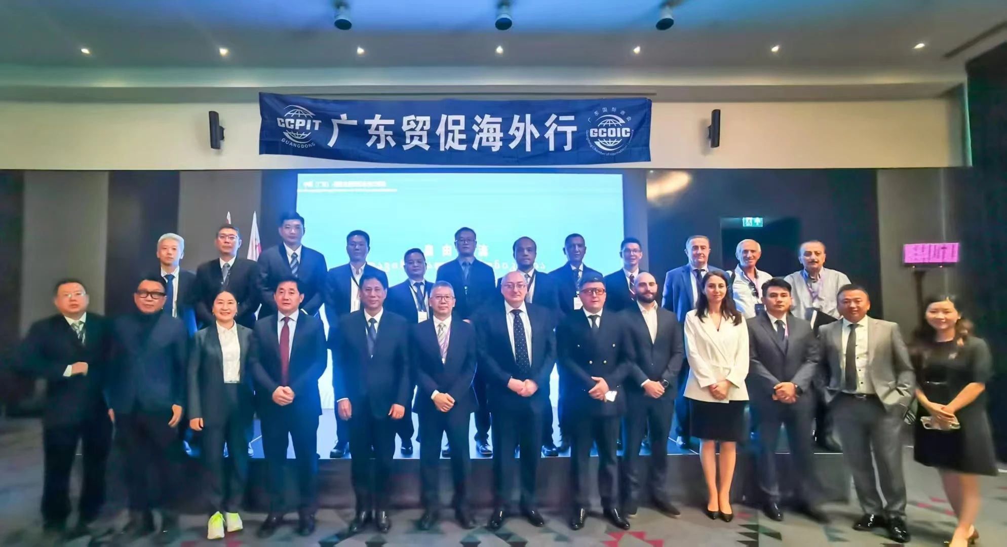 法立奥别墅电梯生产厂家
